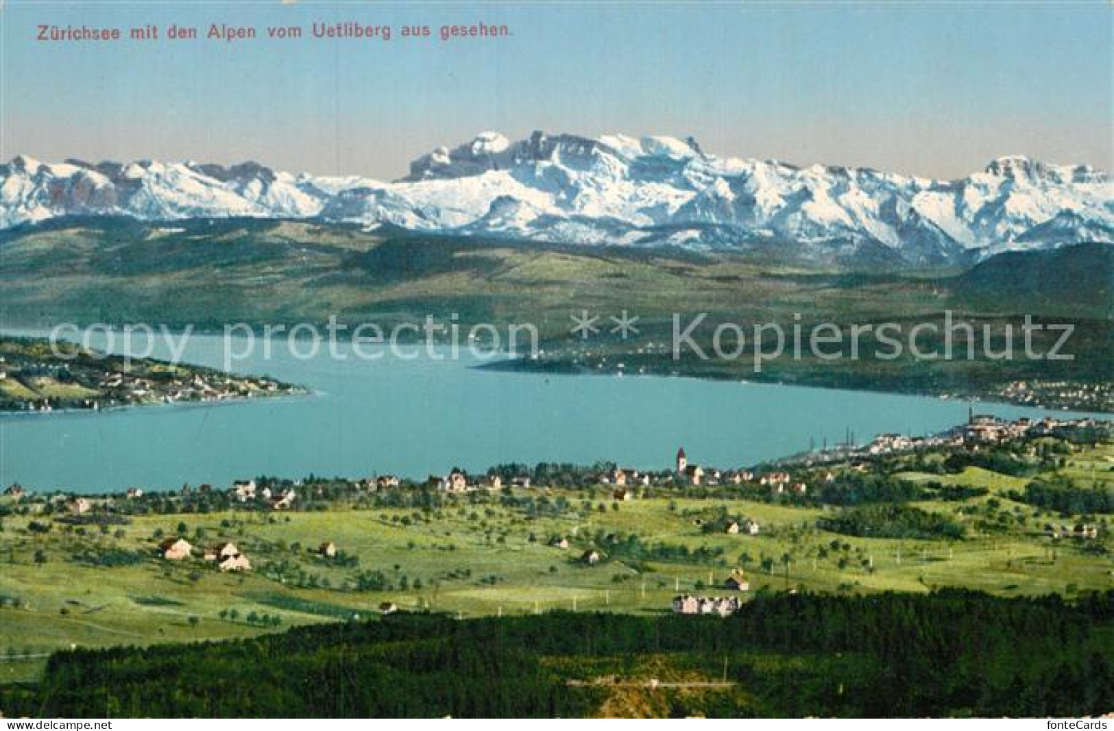 12995078 Zuerichsee ZH Mit Den Alpen Vom Uetliberg Aus Gesehen Zuerichsee - Autres & Non Classés