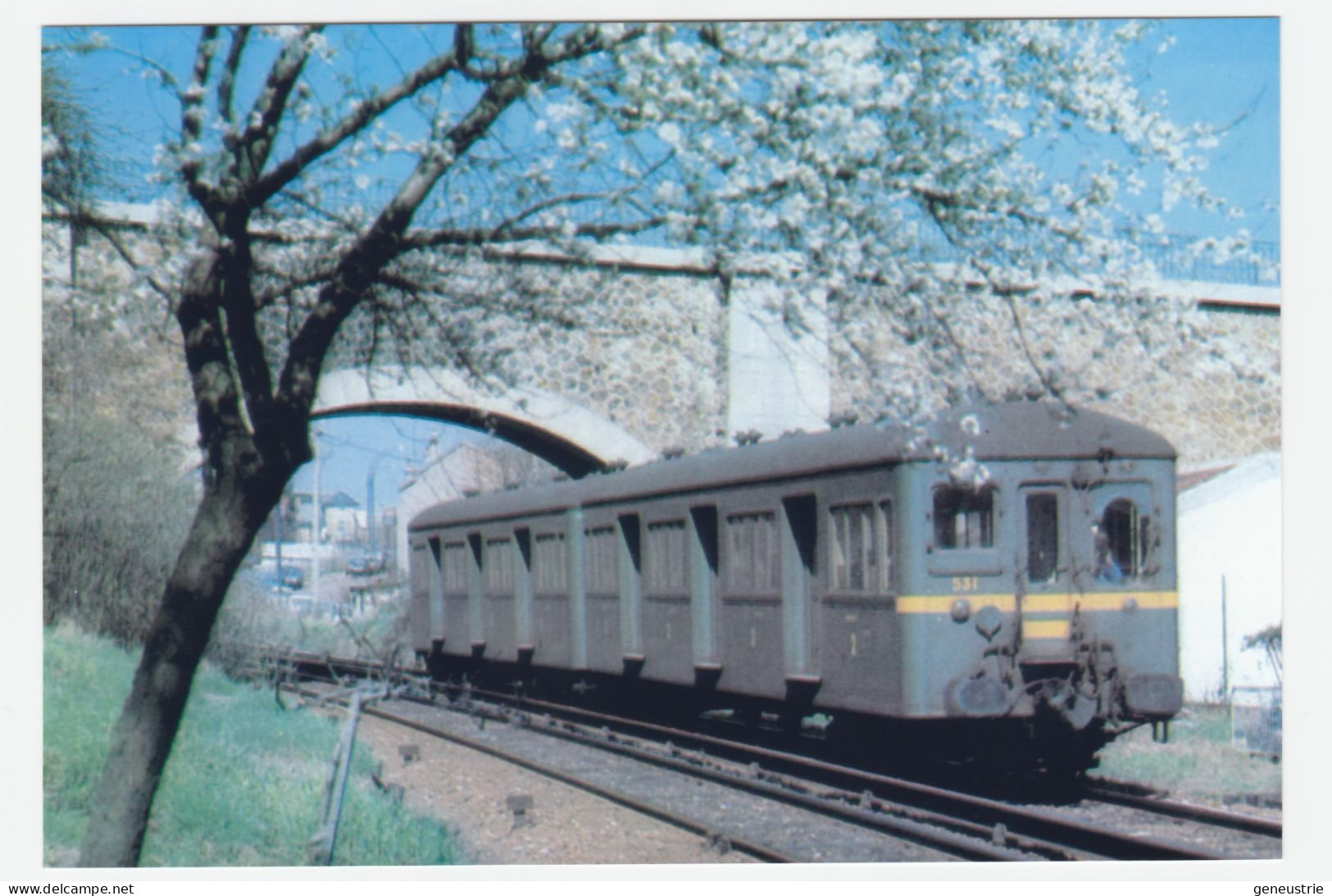 Photo-carte "Rame Standard Sur La Ligne Puteaux / Issy-Plaine - SNCF" - Treinen