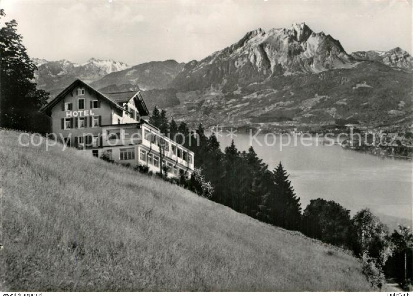 12979730 Rigi-Seebodenalp Berghotel Vierwaldstaettersee Alpenpanorama Kuessnacht - Other & Unclassified