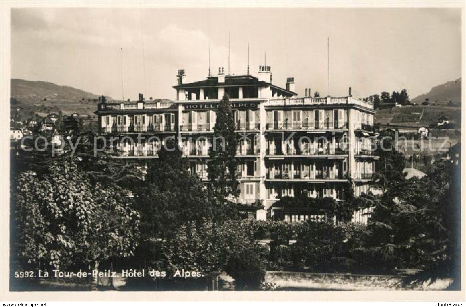 12979558 La Tour-de-Peilz Hotel Des Alpes La Tour-de-Peilz - Autres & Non Classés