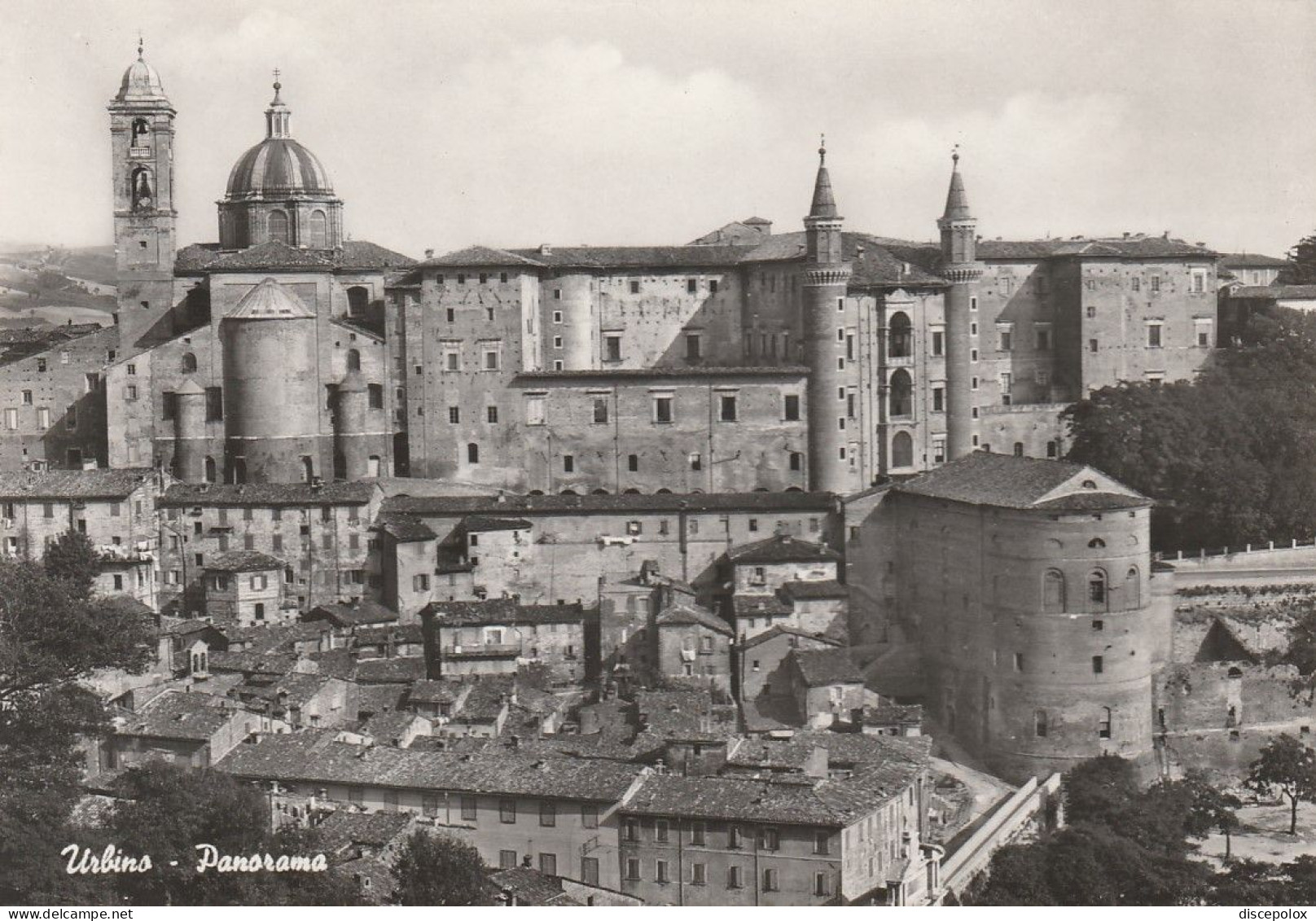 AD101 Urbino - Panorama Della Città / Viaggiata 1969 - Urbino