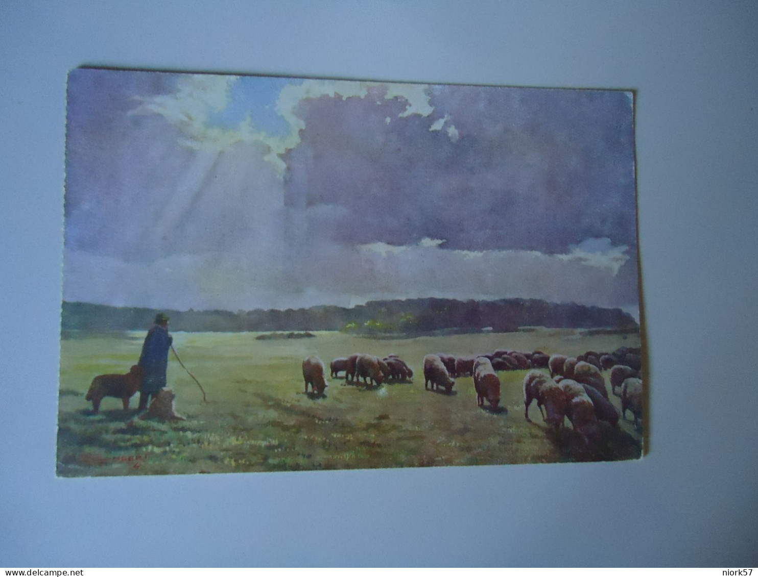 ITALY     POSTCARDS  FITINA PAINTINGS  ANIMALS FOR MORE PURCHASES 10% DISCOUNT - Other & Unclassified