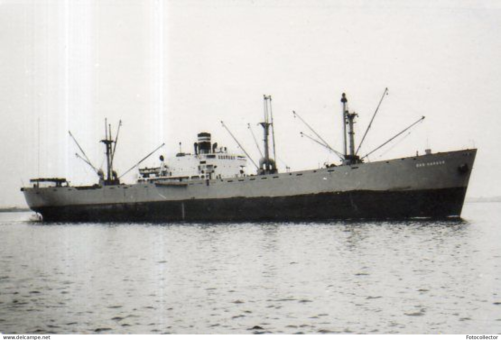 Cargo Sag Harbor - Boten