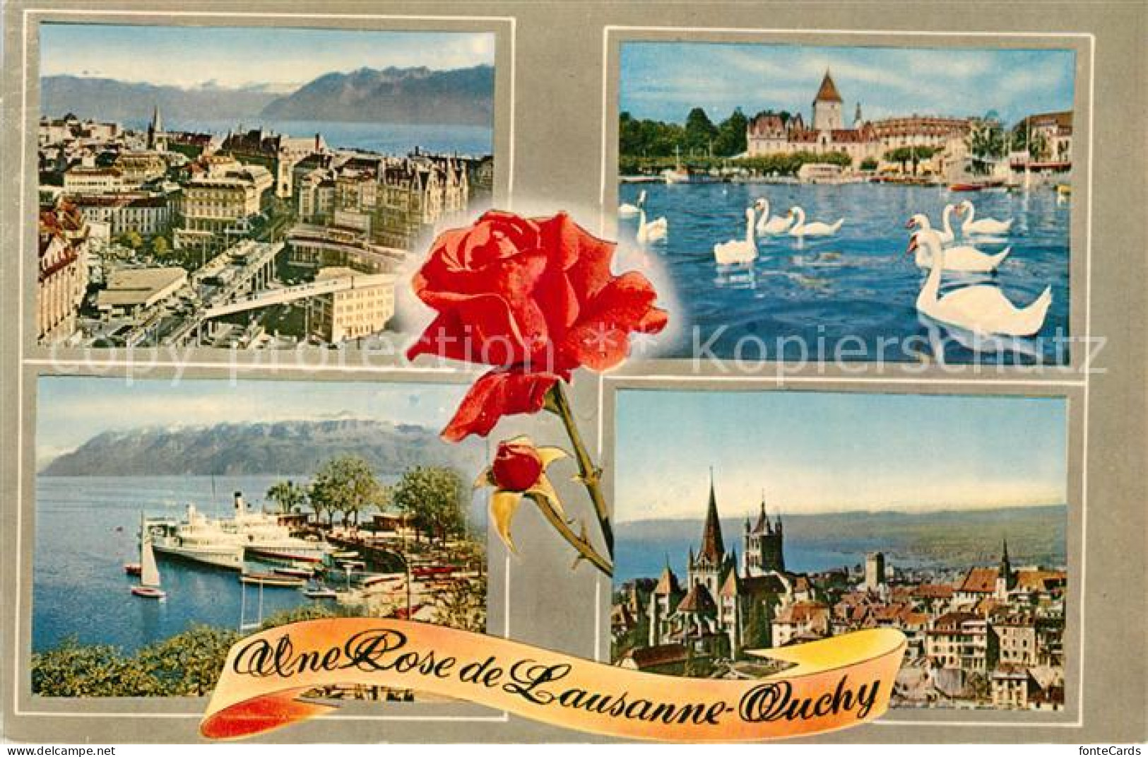 12955908 Ouchy Grand Port Debarcadere Lac Leman Cathedrale Rose Genfersee Schwae - Other & Unclassified