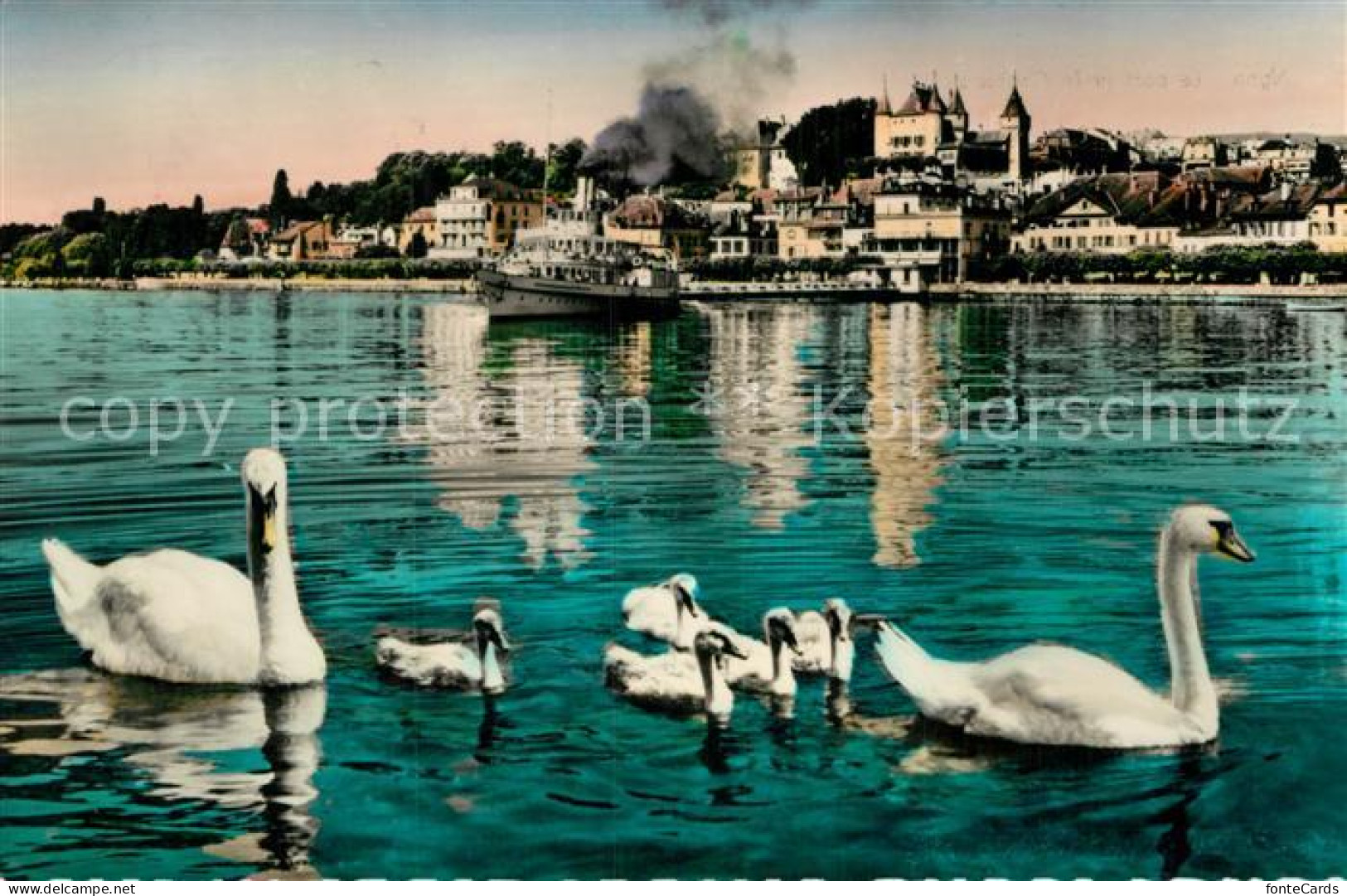 12955904 Nyon VD Le Port Et Le Chateau Hafen Schloss Schwaene Nyon - Other & Unclassified