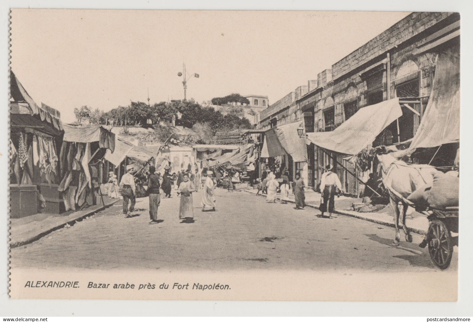 Egypt Alexandria Lot of 12 unused postcards ca. 1920