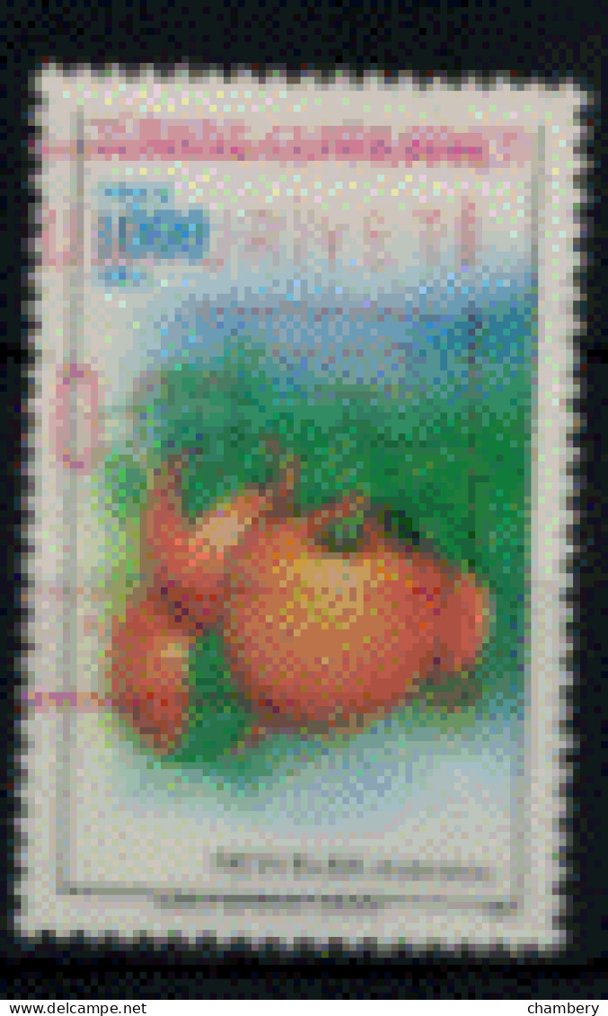 Turquie - "Fruit : Abricot" - Oblitéré N° 2718 De 1992 - Used Stamps