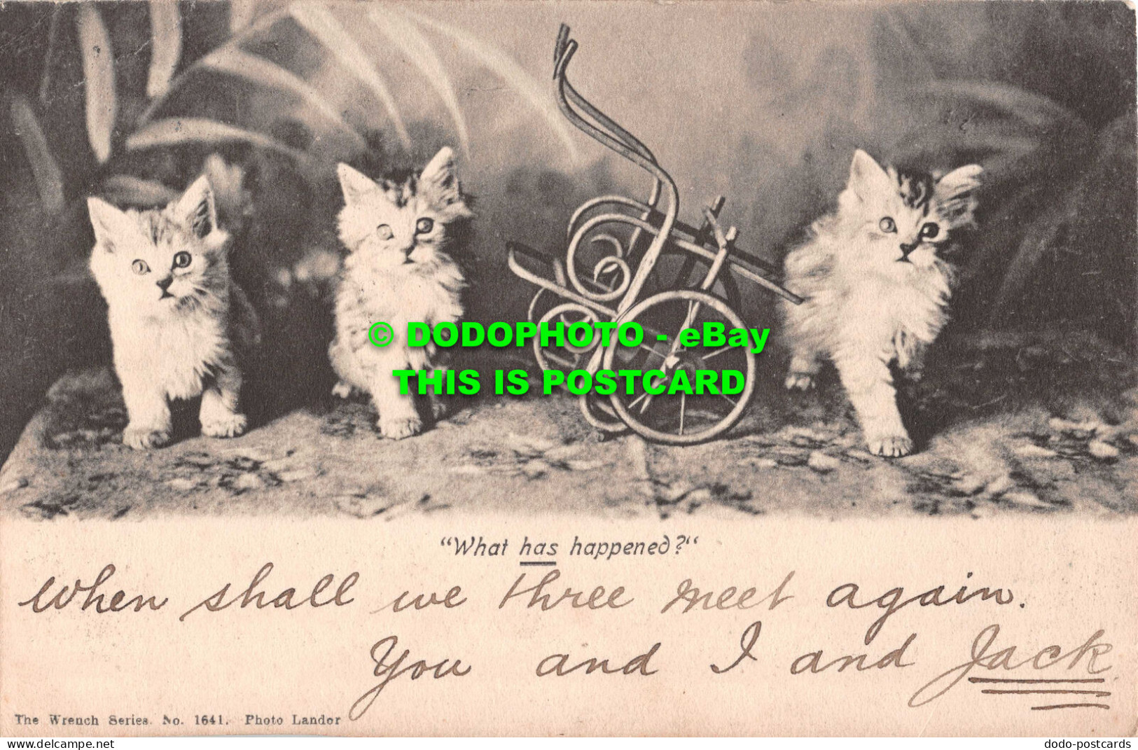 R531004 What Has Happened. Kittens. Wrench Series No. 1641. Photo Lander. 1903 - Monde