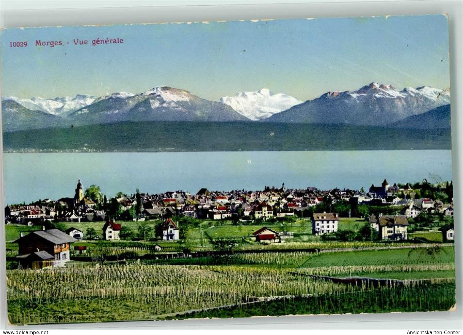 39373105 - Morges - Other & Unclassified