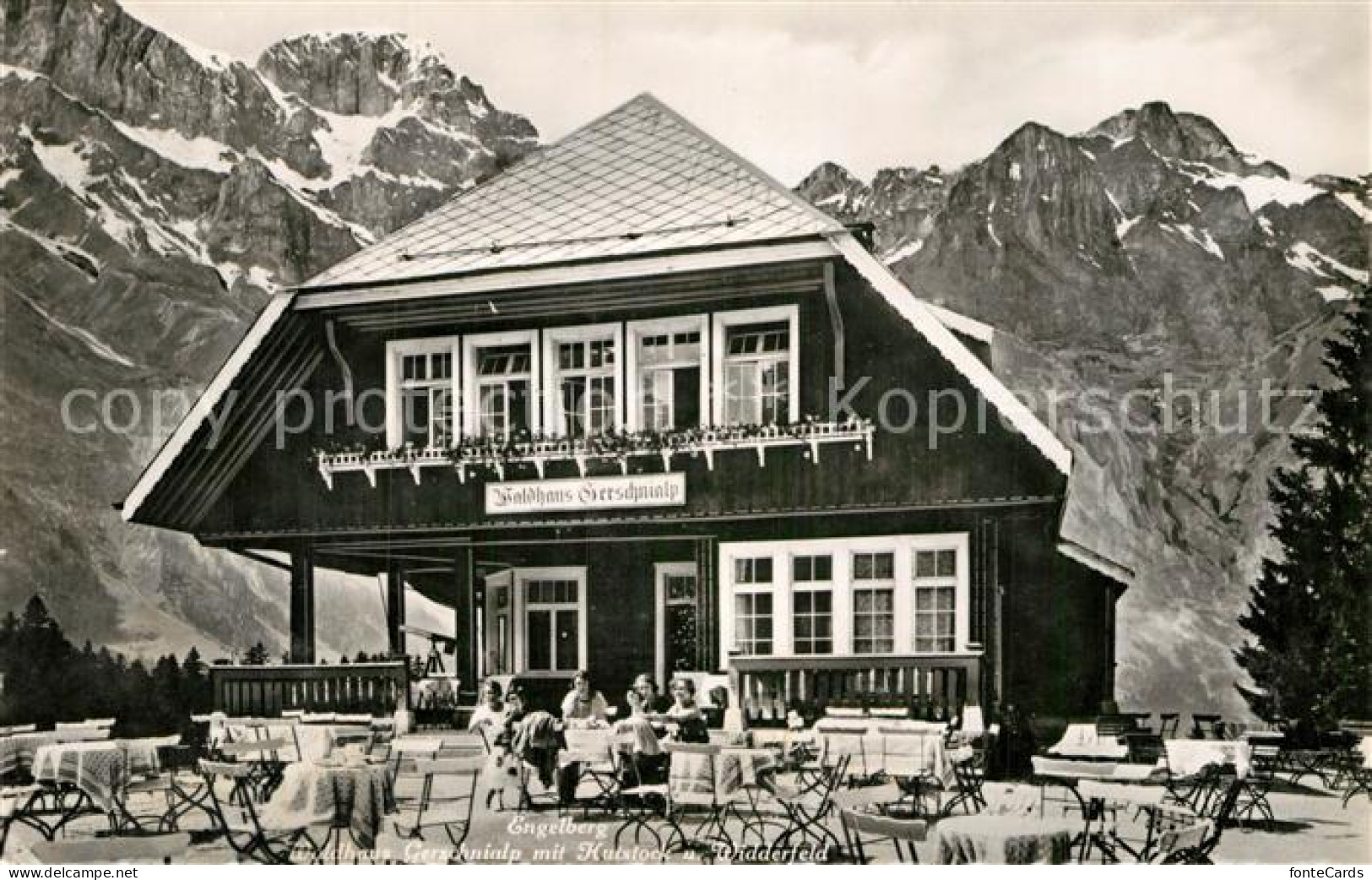 12942264 Engelberg OW Waldhaus Gerschnialp Hutstock Widderfeld  Engelberg - Autres & Non Classés