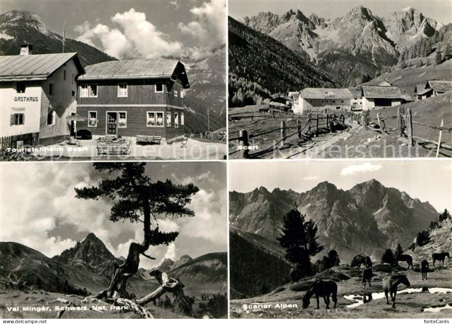 12938223 Scarl Gasthaus Pension Touristenheim Val Minger Schweiz. Nationalpark A - Andere & Zonder Classificatie