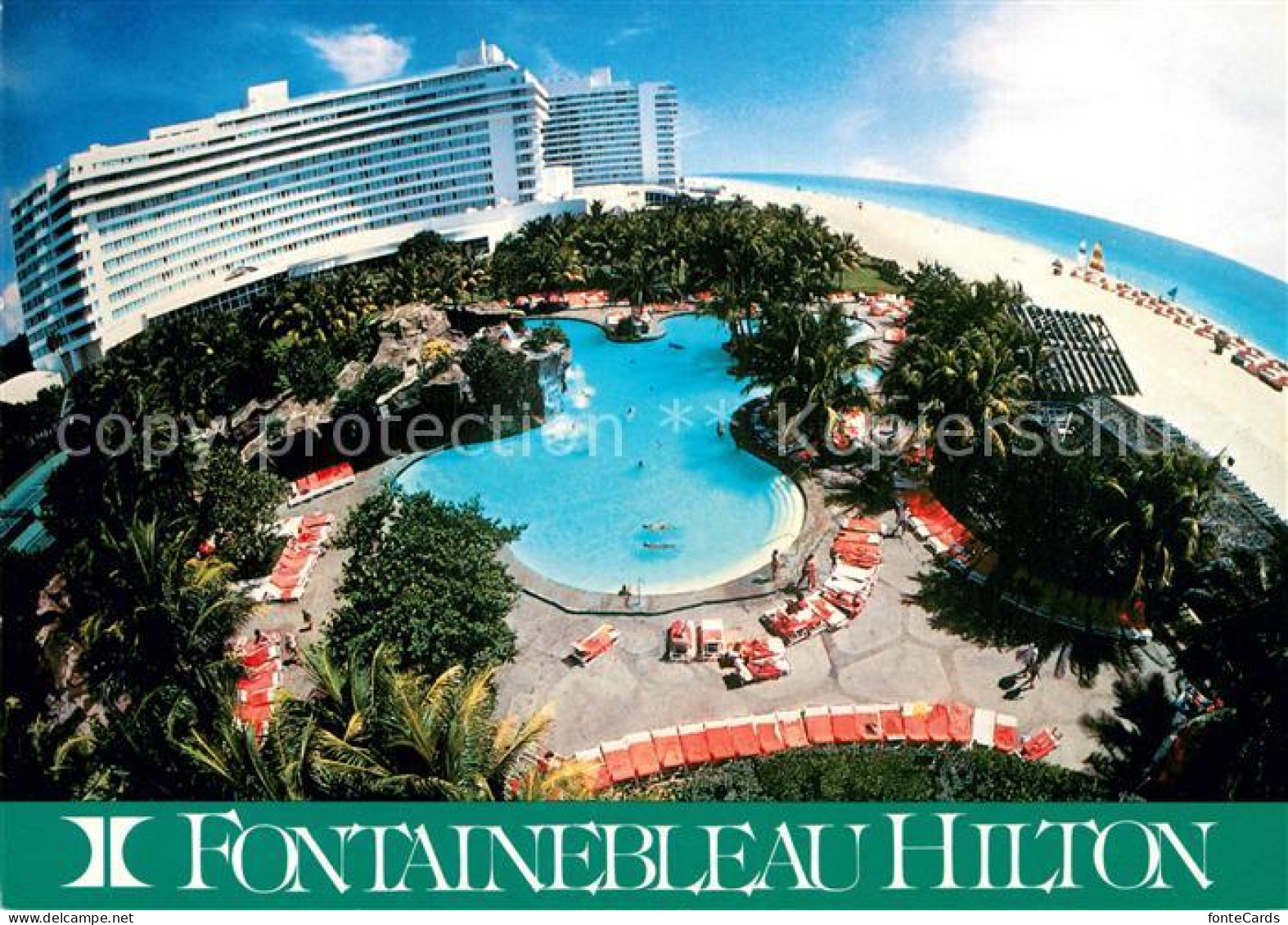 12936216 Miami_Beach Hotel Hilton - Autres & Non Classés