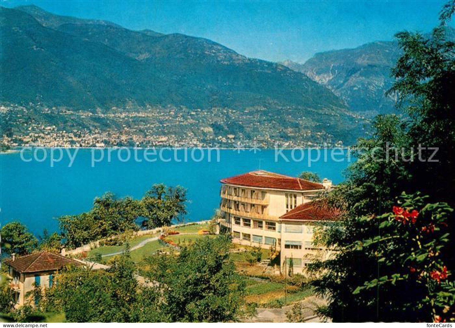 12931061 San Nazzaro Lago Maggiore Casa Di Riposo Cinque Fonti San Nazzaro Lago  - Altri & Non Classificati