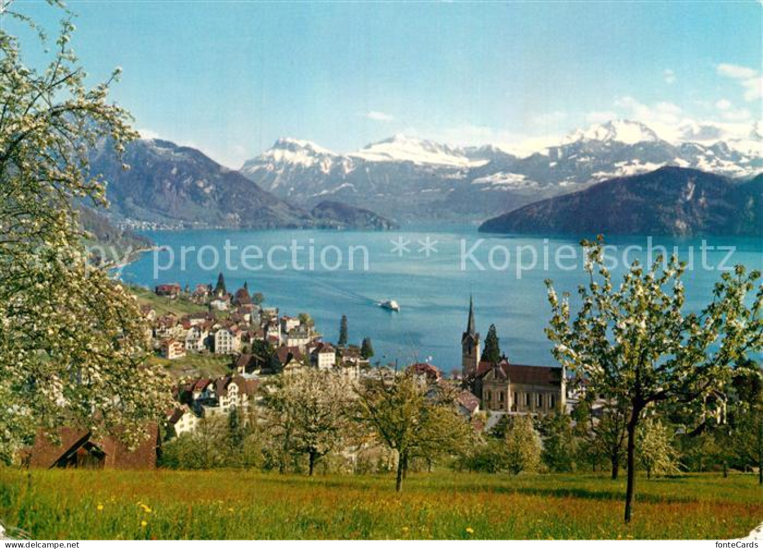 12926694 Weggis Vierwaldstaettersee Panorama  Weggis - Altri & Non Classificati