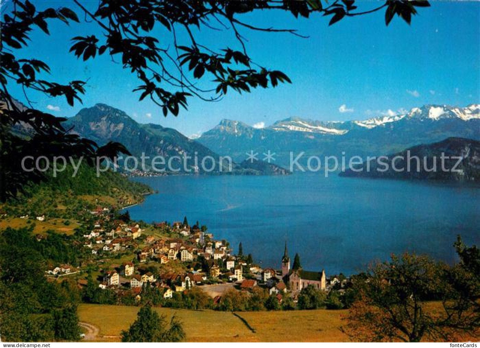 12926690 Weggis Vierwaldstaettersee Panorama  Weggis - Altri & Non Classificati