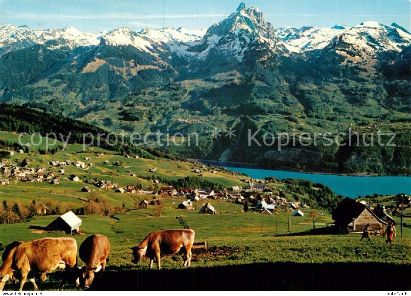 12926240 Amden SG Panorama Blick Auf Walensee Und Muertschenstock Viehweide Kueh - Autres & Non Classés