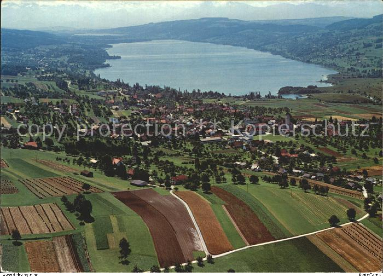 12920850 Hallwilersee Fliegeraufnahme Hallwil - Andere & Zonder Classificatie