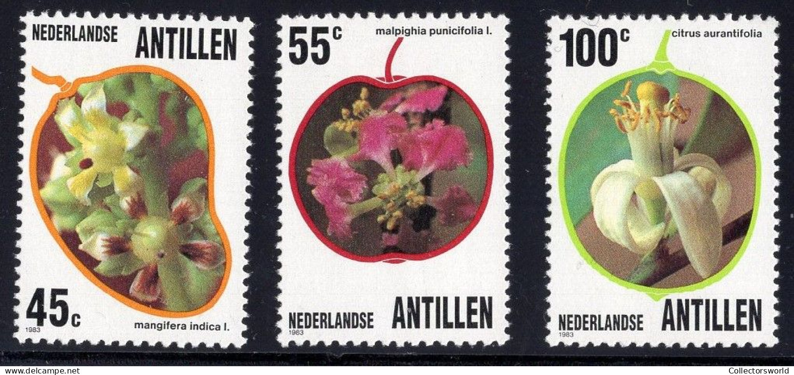 Netherlands Antilles 1983 Fruit Flowers Flora Blumen MNH - Antilles