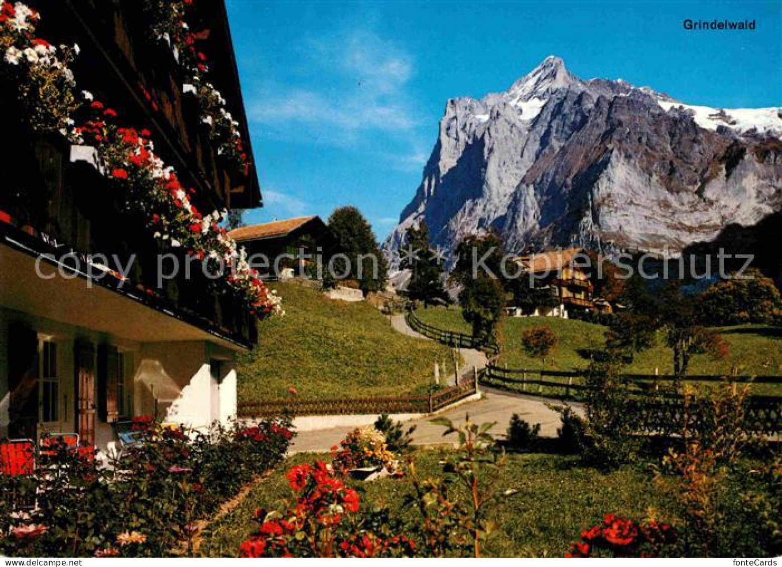 12910101 Grindelwald Wohnhaeuser Mit Wetterhorn Grindelwald - Other & Unclassified