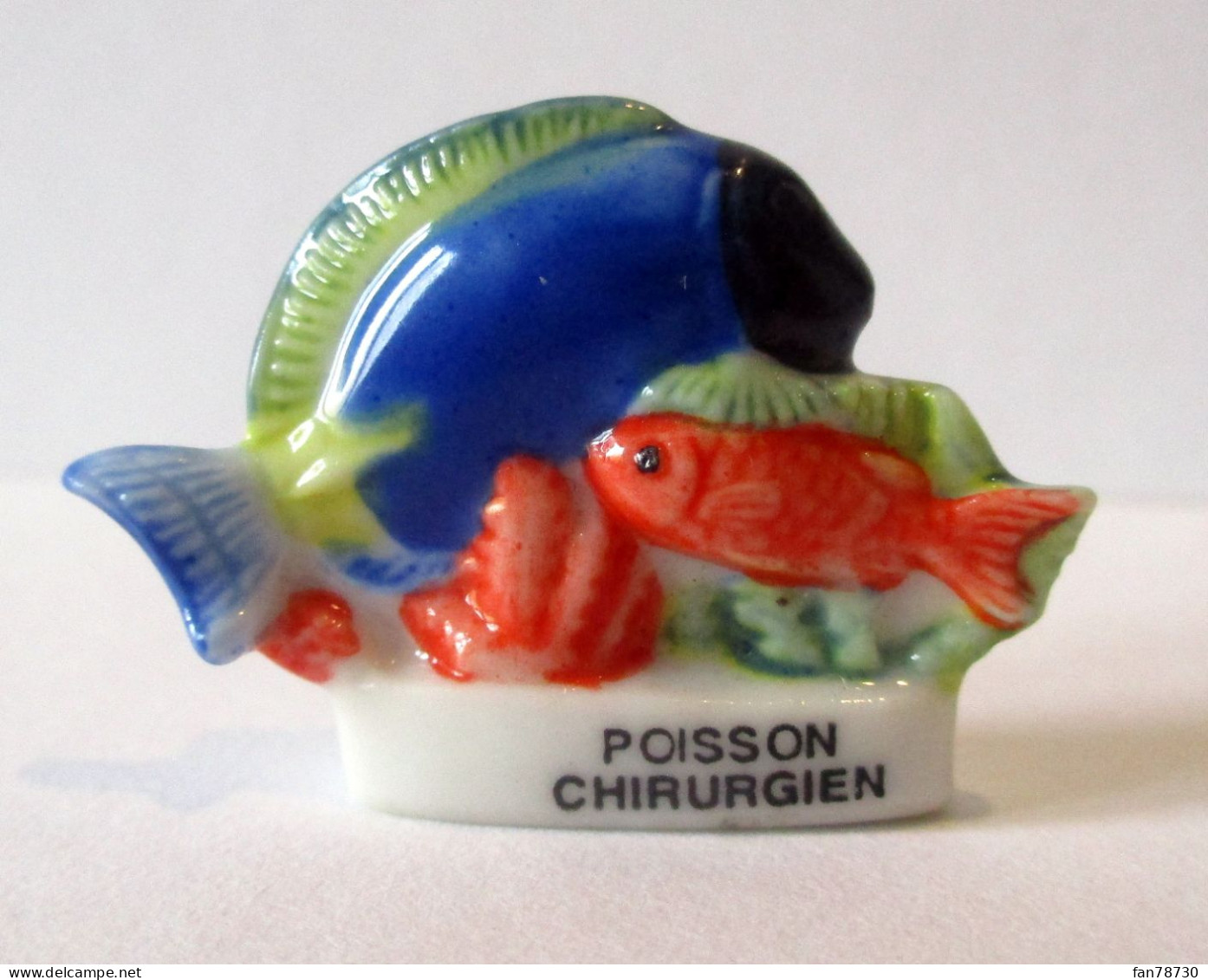 Fève Brillante  - Poisson Chirurgien -  Frais Du Site Déduits - Animaux