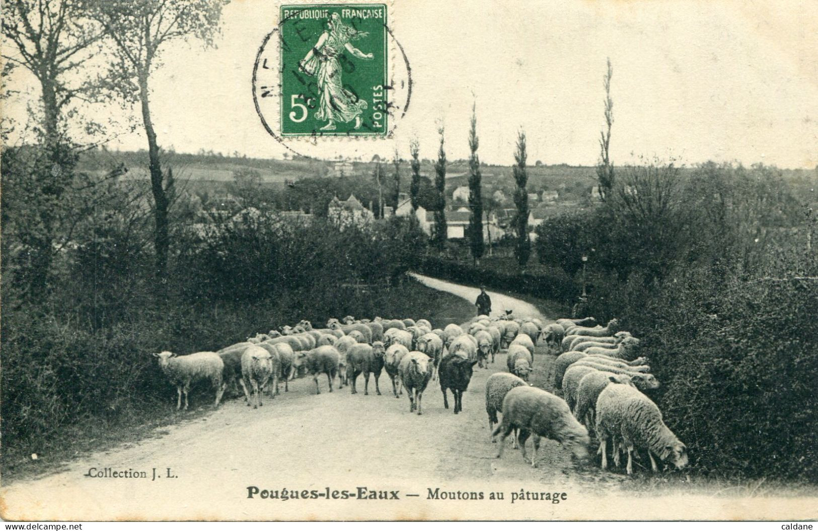 - - 58 -NIEVRE - POUGUES-les-Eaux- Moutons Au Paturaga - Chateau Chinon