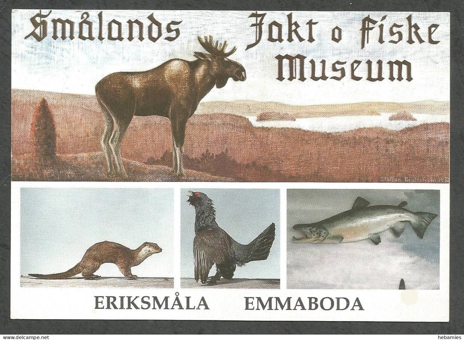 SMÅLANDS JAKT Och FISKE MUSEUM - ERIKSMÅLA - EMMABODA - SWEDEN - SVERIGE - - Suède