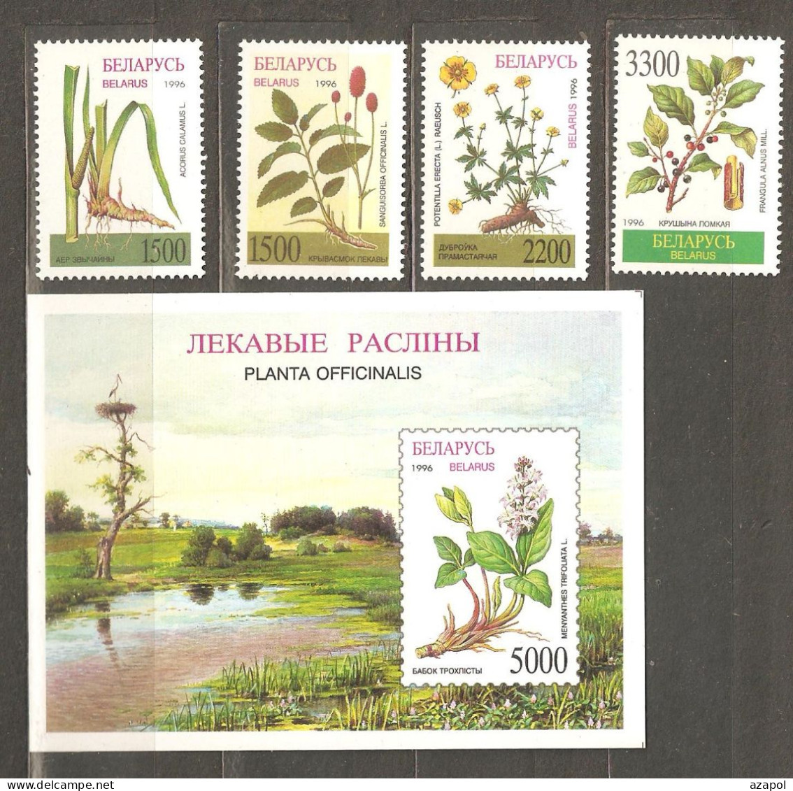 Belarus: Full Set Of 4 Mint Stamps + Block, Medicinal Plants - Flowers, 1996, Mi#158-161, Bl-11, MNH - Belarus