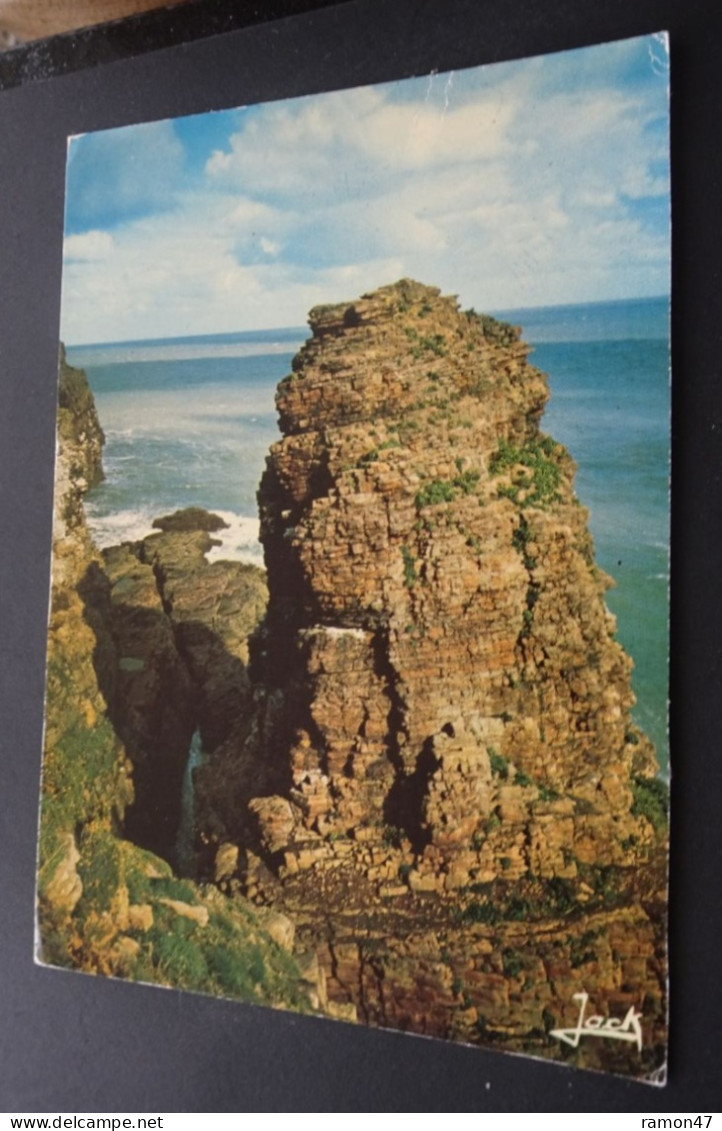 Le Cap Fréhel - La Grande Fauconnière - Editions D'Art JACK, Louannec - Cap Frehel