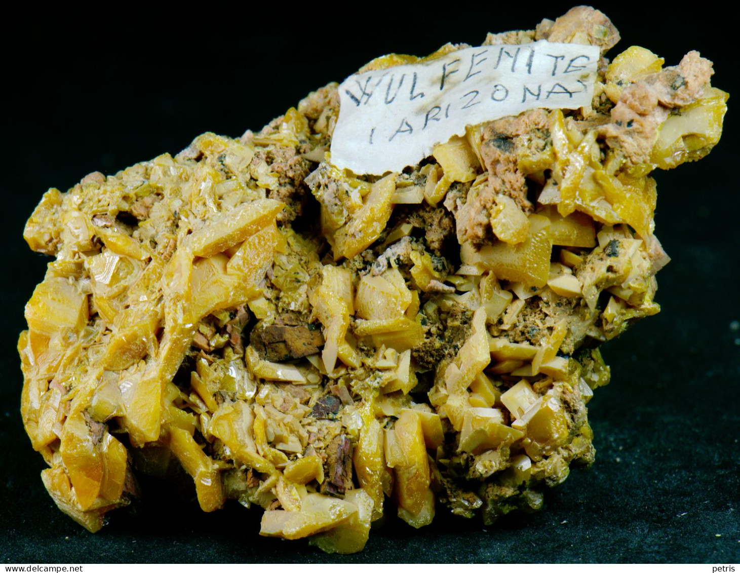 Mineral - Wulfenite ( Arizona, USA) - Lot. 1154 - Minerali