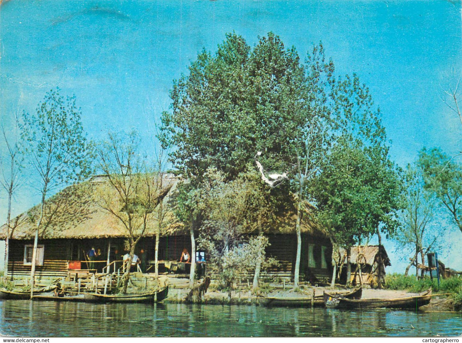 Navigation Sailing Vessels & Boats Themed Postcard Danube Delta Fish Restaurant - Velieri