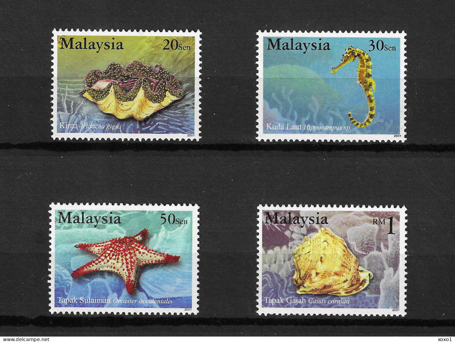 Malaysia 2001 MiNr. 1068 - 1072 Marine Life Fishes, Shells  4V   MNH** 3.30 € - Malaysia (1964-...)