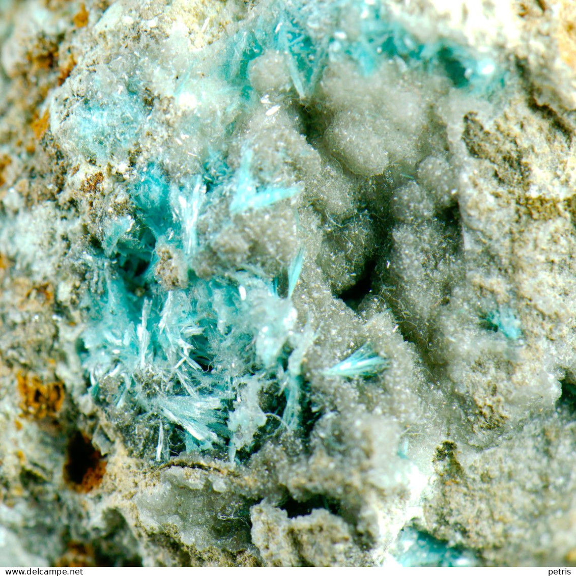 Mineral - Clinotirolite (Monte Cencio, Vicenza, Italia) - Lot. 1156 - Minéraux