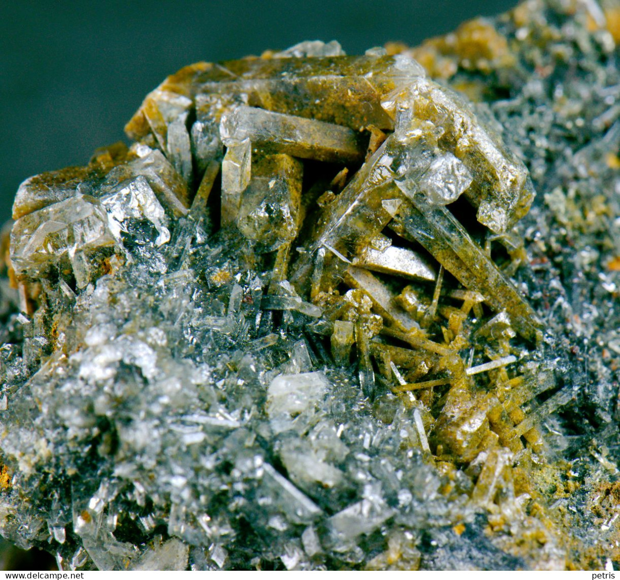 Mineral - Cerussite Su Galena (Isola D'Elba, Italia) - Lot. 1157 - Minerals