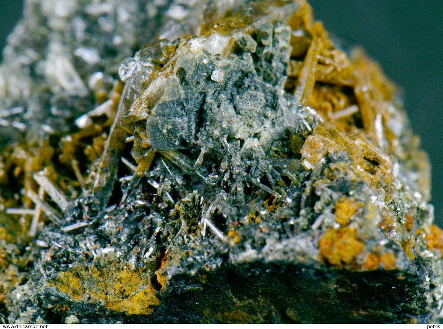 Mineral - Cerussite Su Galena (Isola D'Elba, Italia) - Lot. 1157 - Minéraux