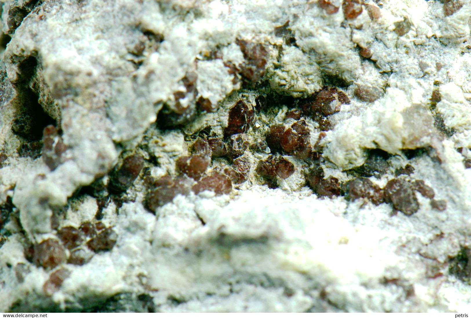 Mineral - Sfalerite (Missouri, USA) - Lot. 1158