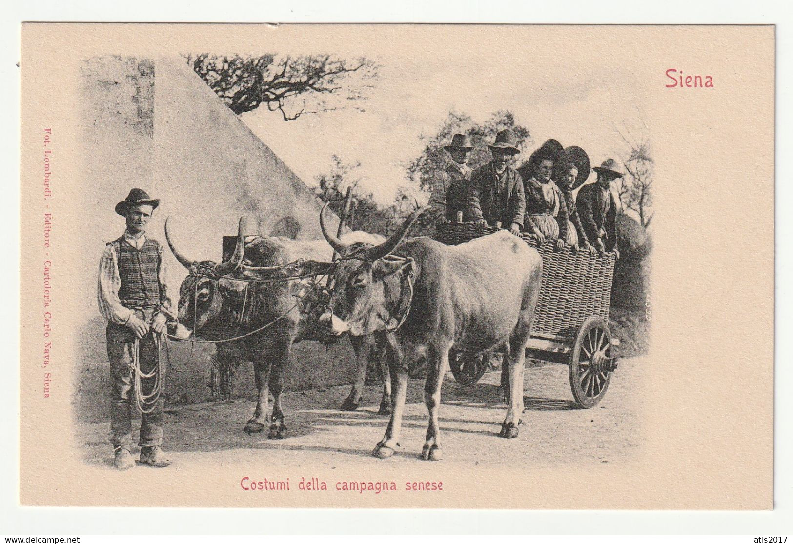 SIENA - Costumi Della Campagna Senese - Old Pc 1910s - Siena