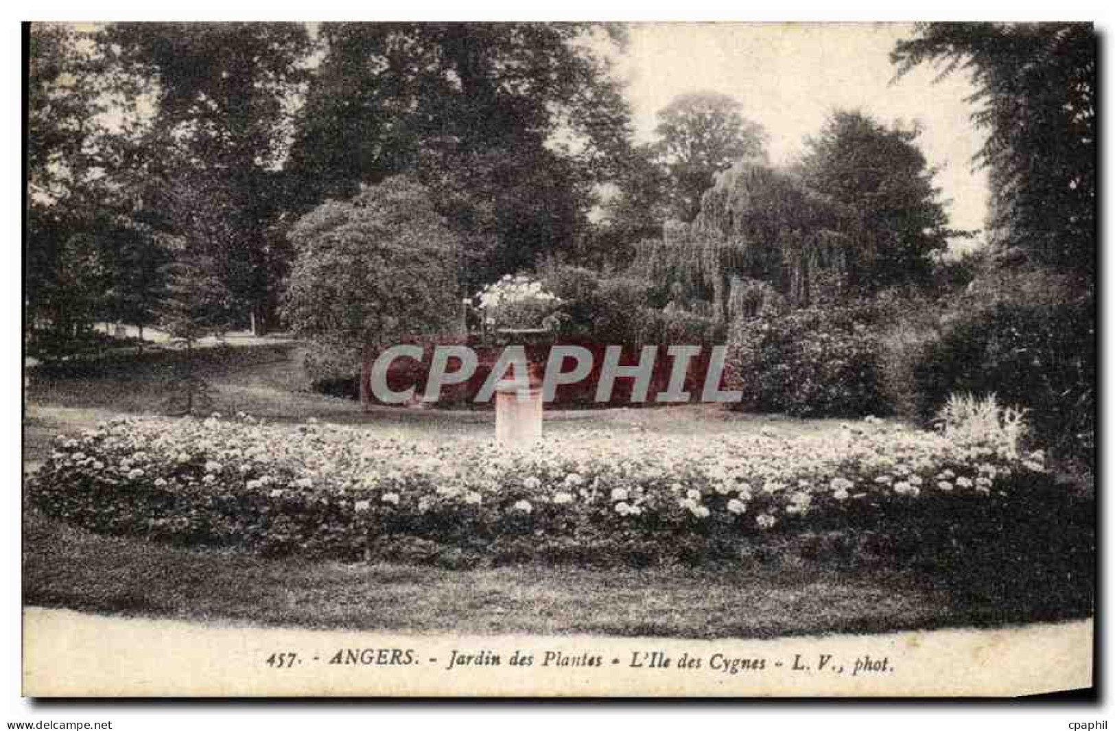 CPA Angers Jardin Des Plantes L Ile Des Cygnes  - Angers