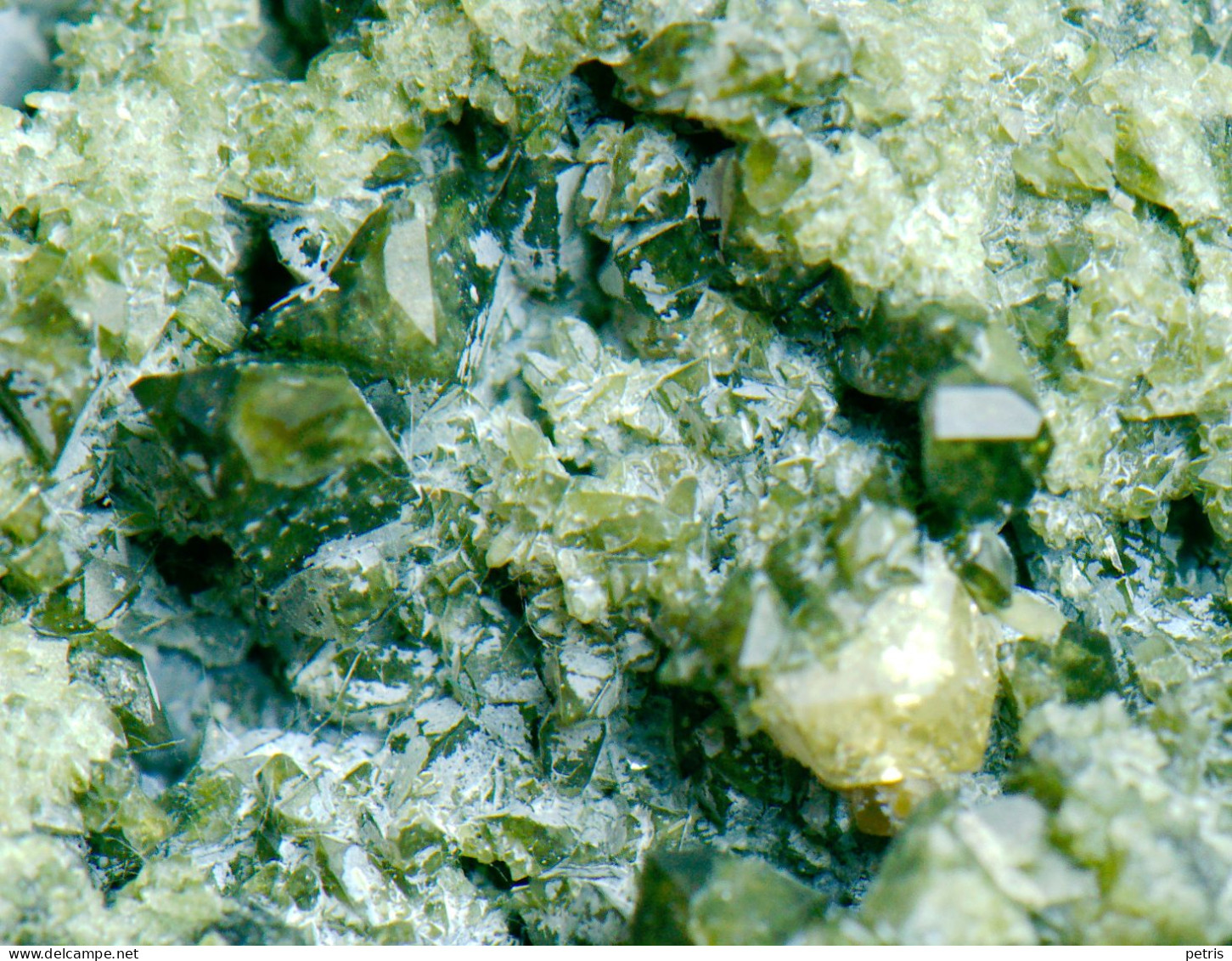 Mineral - Linnaeite (Hilchenbach, North Rhine, Westfalia, Germany) - Lot. 1160