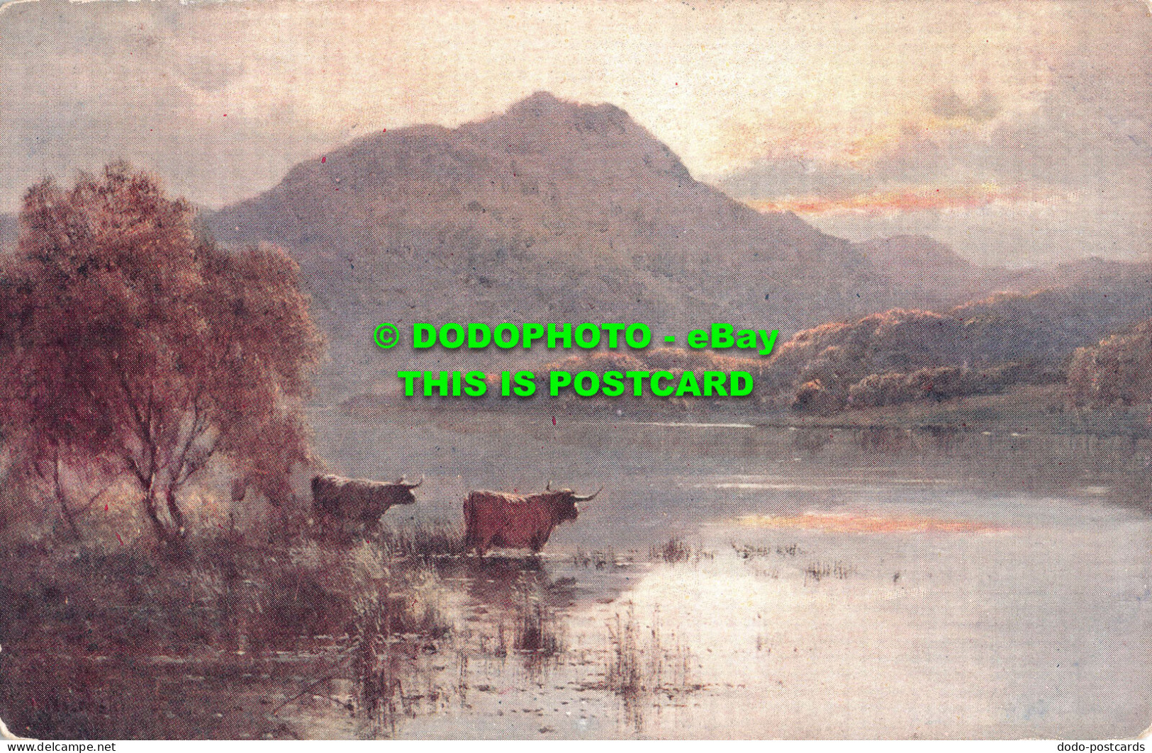 R531509 Trossachs. Loch Versach. C. W. Faulkner - Monde