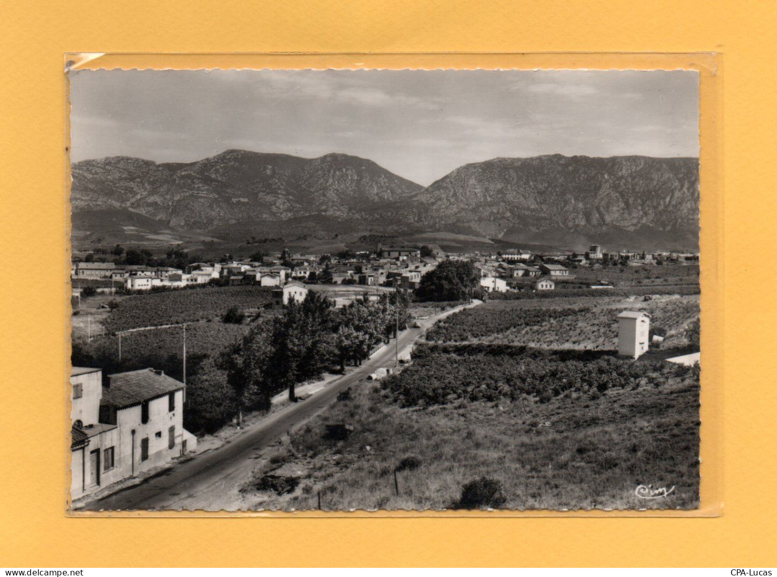 (27/04/24) 66-CPSM SAINT PAUL DE FENOUILLET - Autres & Non Classés