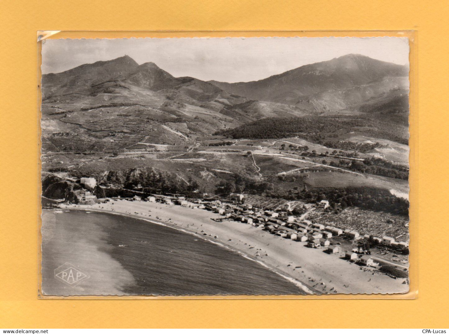 (27/04/24) 66-CPSM ARGELES SUR MER - Argeles Sur Mer