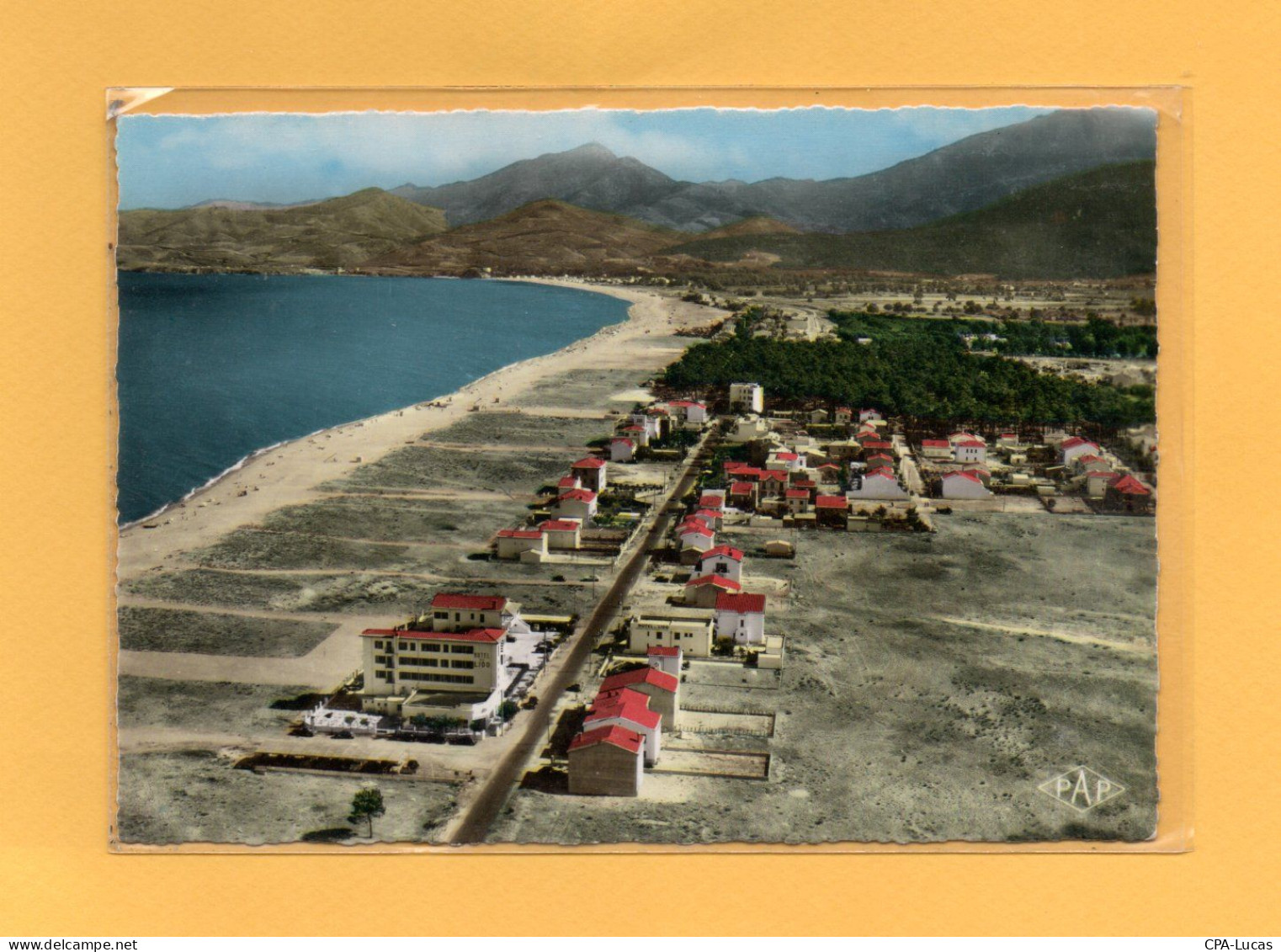 (27/04/24) 66-CPSM ARGELES SUR MER - Argeles Sur Mer