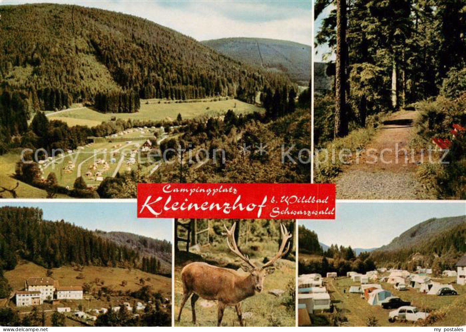 73788041 Bad Wildbad Gasthof Pension Kleinenzhof Hirsch Campingplatz Landschafts - Sonstige & Ohne Zuordnung