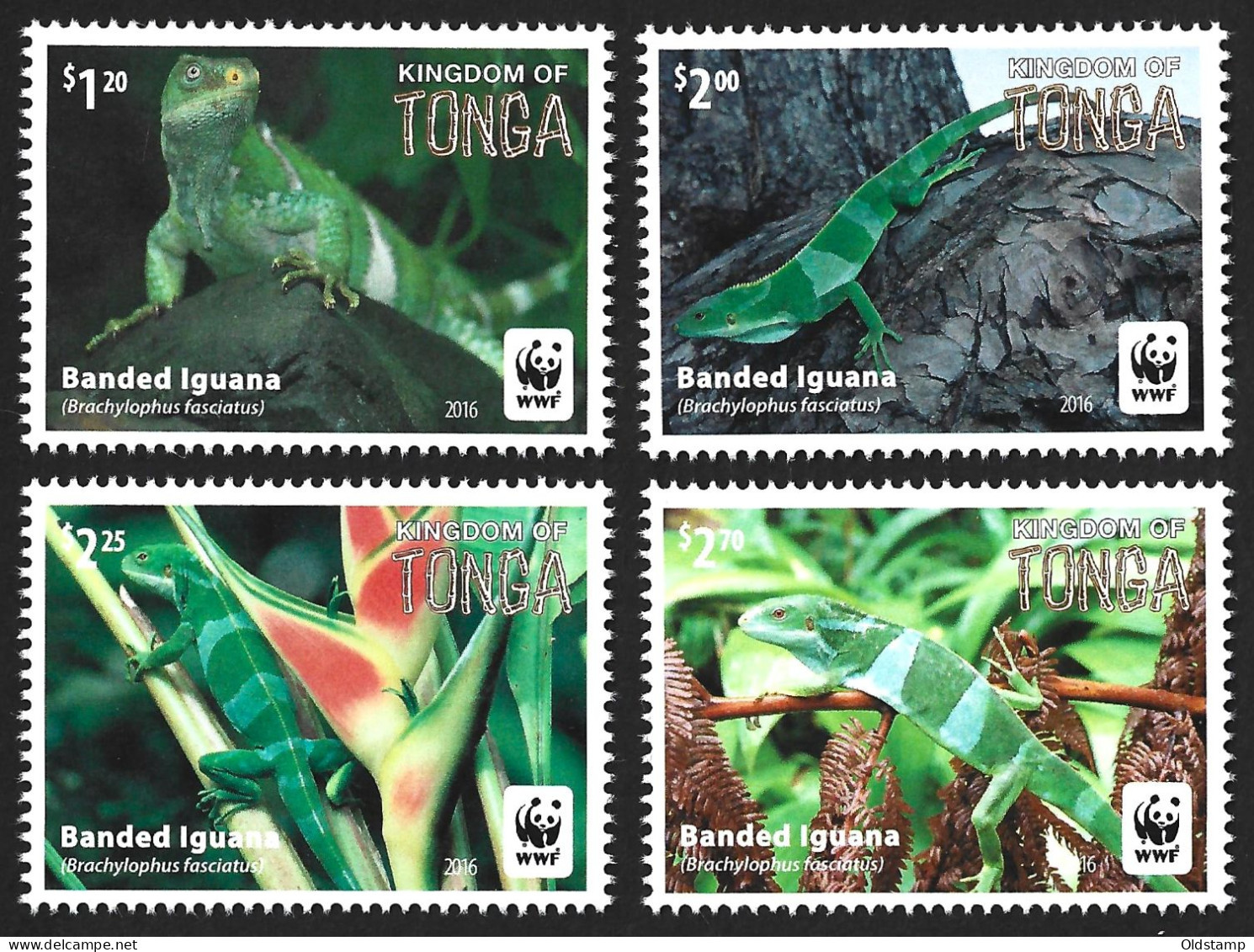 ANIMALS Tonga Islands 2016 Lizards WWF Reptiles IGUANAS Wildlife Banded Laguna Fauna MNH Stamps Full Set Mi.# 2098-2101 - Andere & Zonder Classificatie