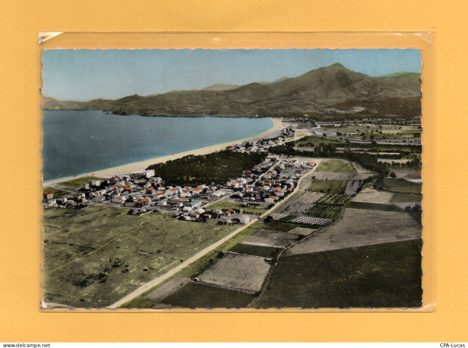 (27/04/24) 66-CPSM ARGELES SUR MER - Argeles Sur Mer