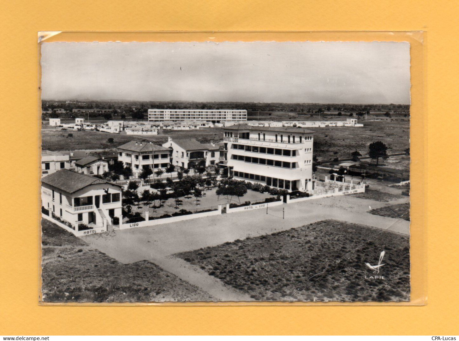 (27/04/24) 66-CPSM ARGELES SUR MER - Argeles Sur Mer