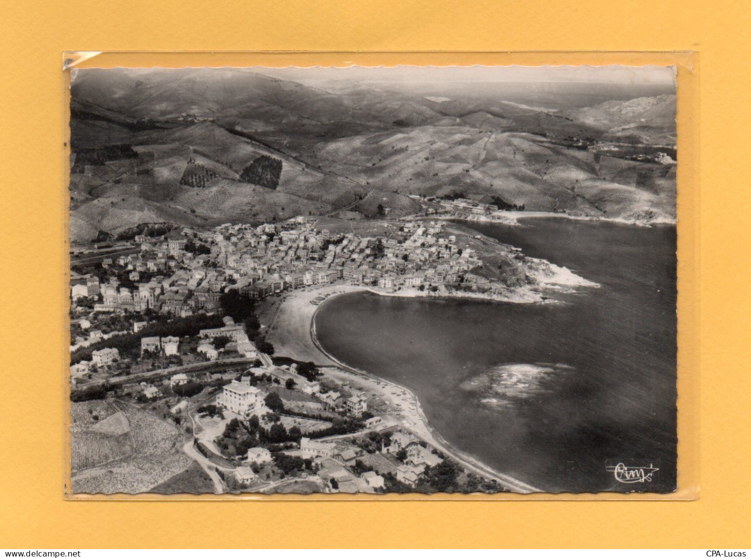 (27/04/24) 66-CPSM BANYULS SUR MER - Banyuls Sur Mer