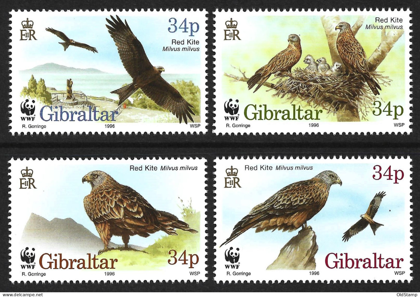 BIRDS GIBRALTAR 1996 WWF Oiseaux Vögel Pajaros Red Kite Bird Of Pray MNH Stamps Full Set Luxe SG 784 - 787 MI 774 - 777 - Altri & Non Classificati