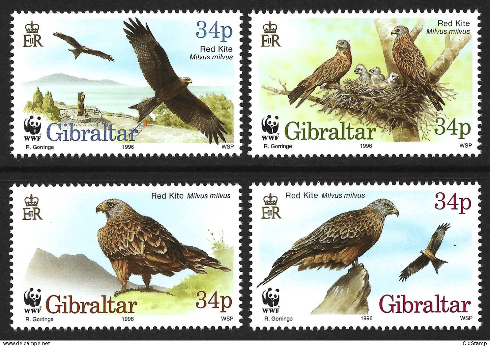 BIRDS GIBRALTAR 1996 WWF Oiseaux Vögel Pajaros Red Kite Bird Of Pray MNH Stamps Full Set Luxe SG 784 - 787 MI 774 - 777 - Sonstige & Ohne Zuordnung