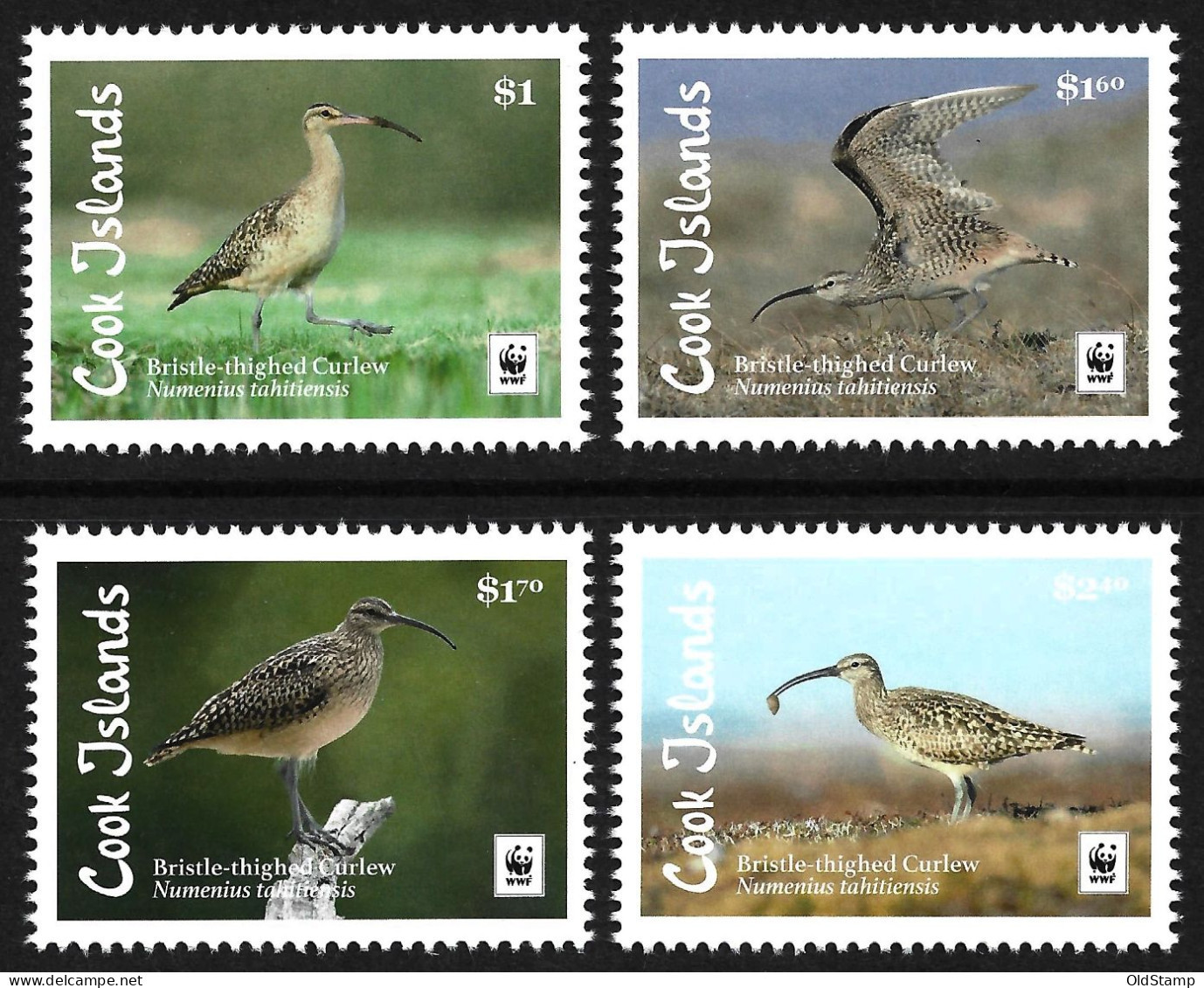 BIRDS Cook Islands 2017 BIRDS Oiseaux Vögel Fauna Pajaros Wild Life Song Bird WWF MNH Stamps Full Set Luxe - Autres & Non Classés